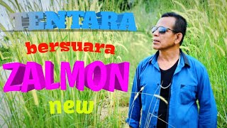 Download lagu Hilang Ndak Babakeh ZALMON - Lagu Minang Terbaru - COVER Tepe mp3
