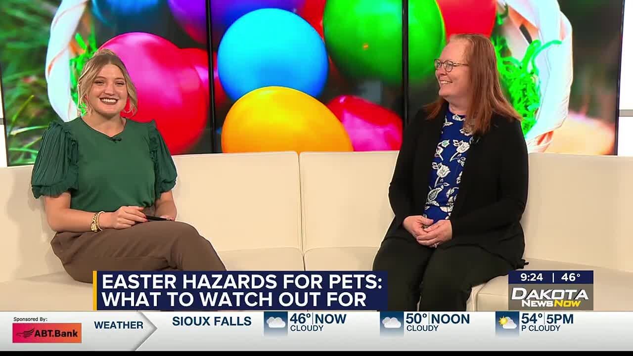 Easter hazards for pets: what to watch out for
