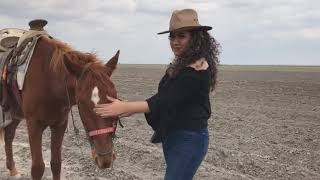 Las tres Mujeres - Cadetes de Linares