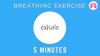 Breathing Exercises To Stop A Panic Attack Now | TAKE A DEEP BREATH