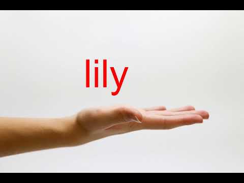 How to Pronounce lily - American English