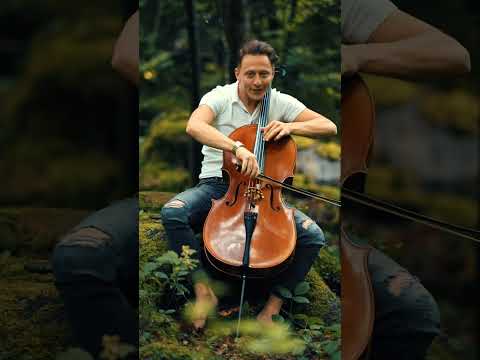La leçon particulière ❤️🎻#cello #music #viral #francislai