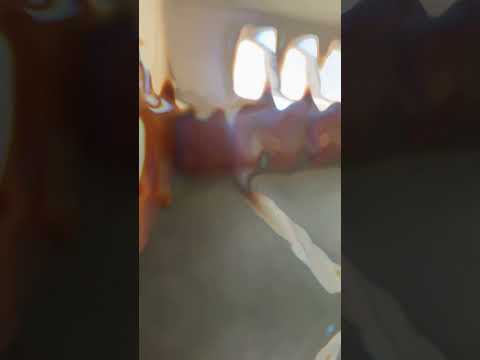 Pomôžte vybaviť telocvičňu náradím na silový tréning