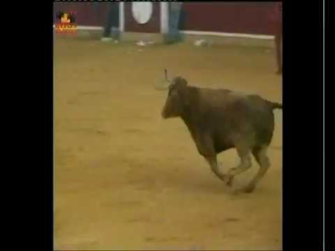 2006 10 13 ZARAGOZA EL PILAR MATINAL JOSE LUIS CUARTERO