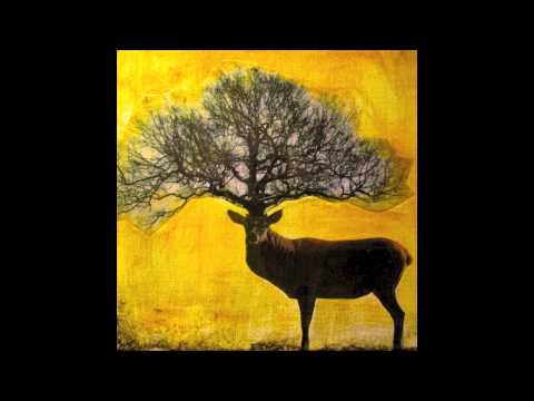 Deertree - Barefoot Pilgrim