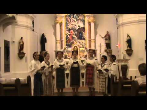 Dospilo j' svibnja polje zeleno - Zwizde