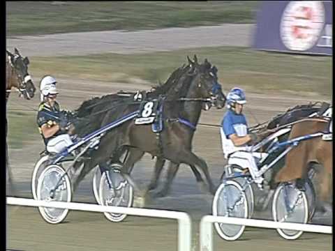 Trotto 01/07/2017 - 5ª corsa