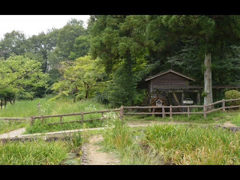 動画サムネイル
