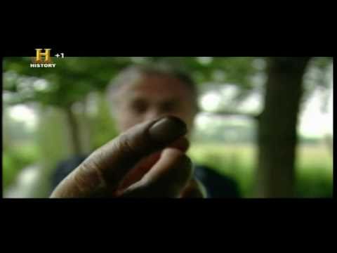 pourquoi la gravité