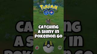 Pokemon Go, Catching Shiny Rookidee
