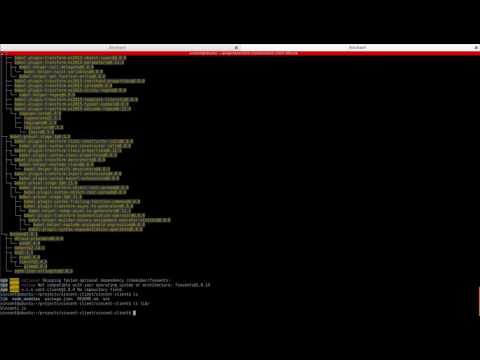 Vincent Client Set Up
