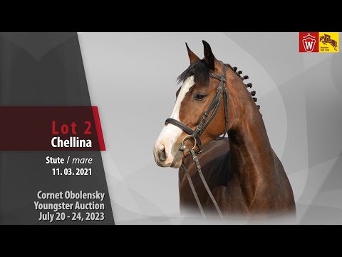 Cornet Obolensky Auktion Lot 02 Chellina Stute v. Cornet Obolensky - Quite Easy I