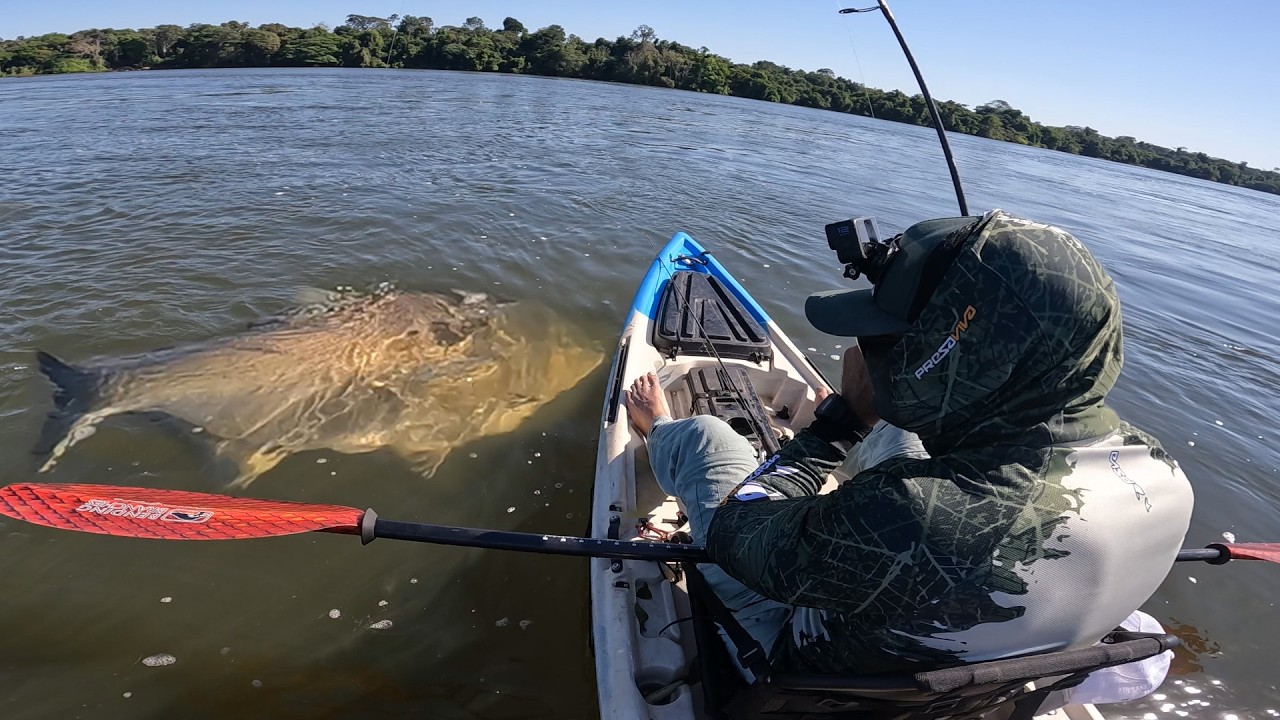 30 Minutos me arrastando, quando vi o tamanho do bicho o corpo tremeu...