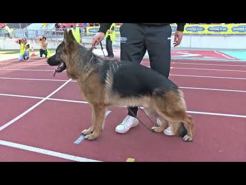 Mio vom Team Huhnegrab