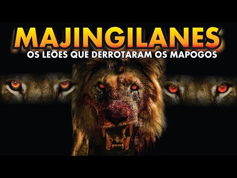 LEÃO - MAJINGILANES A PODEROSA COALIZÃO QUE DERROTOU OS MAPOGOS
