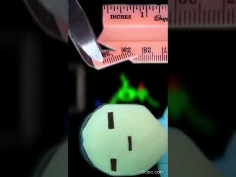 mus f finale 1 574QTkok