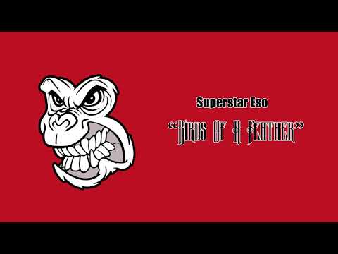 Superstar Eso - Birds of a feather (Prod.TOMMY FRANCO)