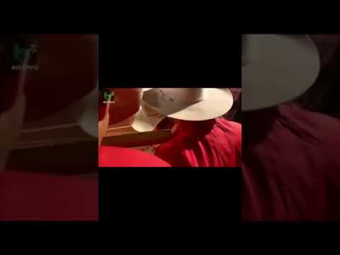 Zeius cruz Fonseca VS Paixão Caipira