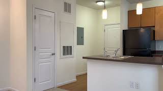 Mosaic at Metro Apartments - Hyattsville - Margritte Unit 102