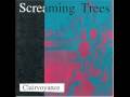 Screaming trees orange airplane