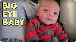 Big Eyed Baby!!!