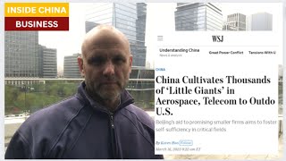 Industrial policy - China supports new small specialized companies while the West props up old large companies