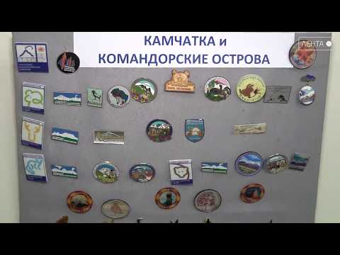 Миниатюрные шедевры природы: в Артёме открылась выставка коллекции значков «Заповедные тропы России»