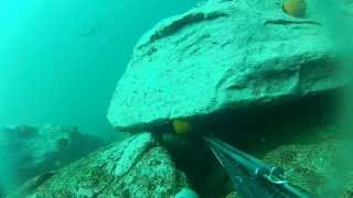 preview picture of video 'pesca submarina bilagay encuevado los medanos chañaral'