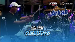 Download lagu GERIGIS - LALA WIDY - AGENG MUSIC ft DHEHAN PRO live ARKAB mp3