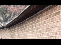 Alexi Murdoch - Slow Revolution- Subtitulado