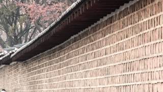 Alexi Murdoch - Slow Revolution- Subtitulado