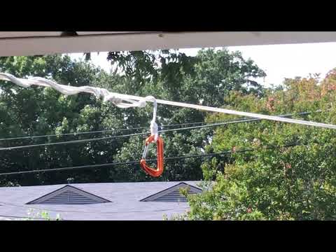 Territorial hummingbird in Dallas back yard