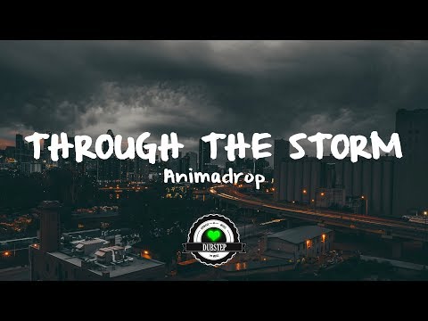 Animadrop - Through the Storm