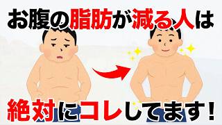 【ダイエット雑学】お腹の脂肪が減る人の生活習慣5選！今すぐ簡単にできる