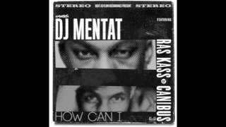 DJ Mentat ft Rass Kas & Canibus - how can I (2013)