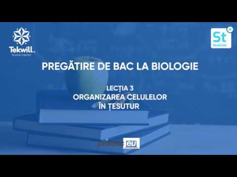 Cu glucozamină și condroitină