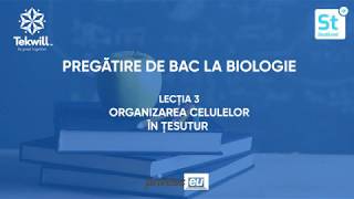 Organizarea celulelor în ţesuturi