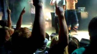 Malk De Koijn Live - Phantastisk