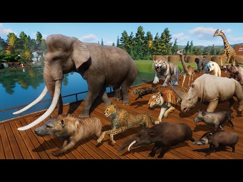 Ancient Animals VS Modern Animals Race in Planet Zoo included Mammoth, Smilodon, Cheetah, & Tiger