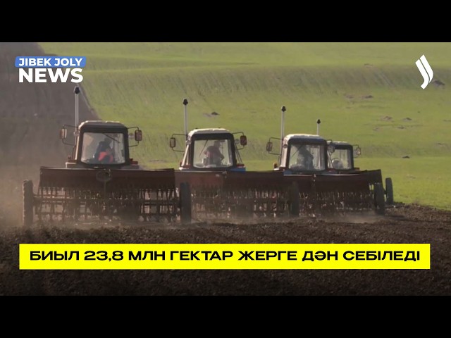 Биыл 23,8 млн гектар жерге дән себіледі