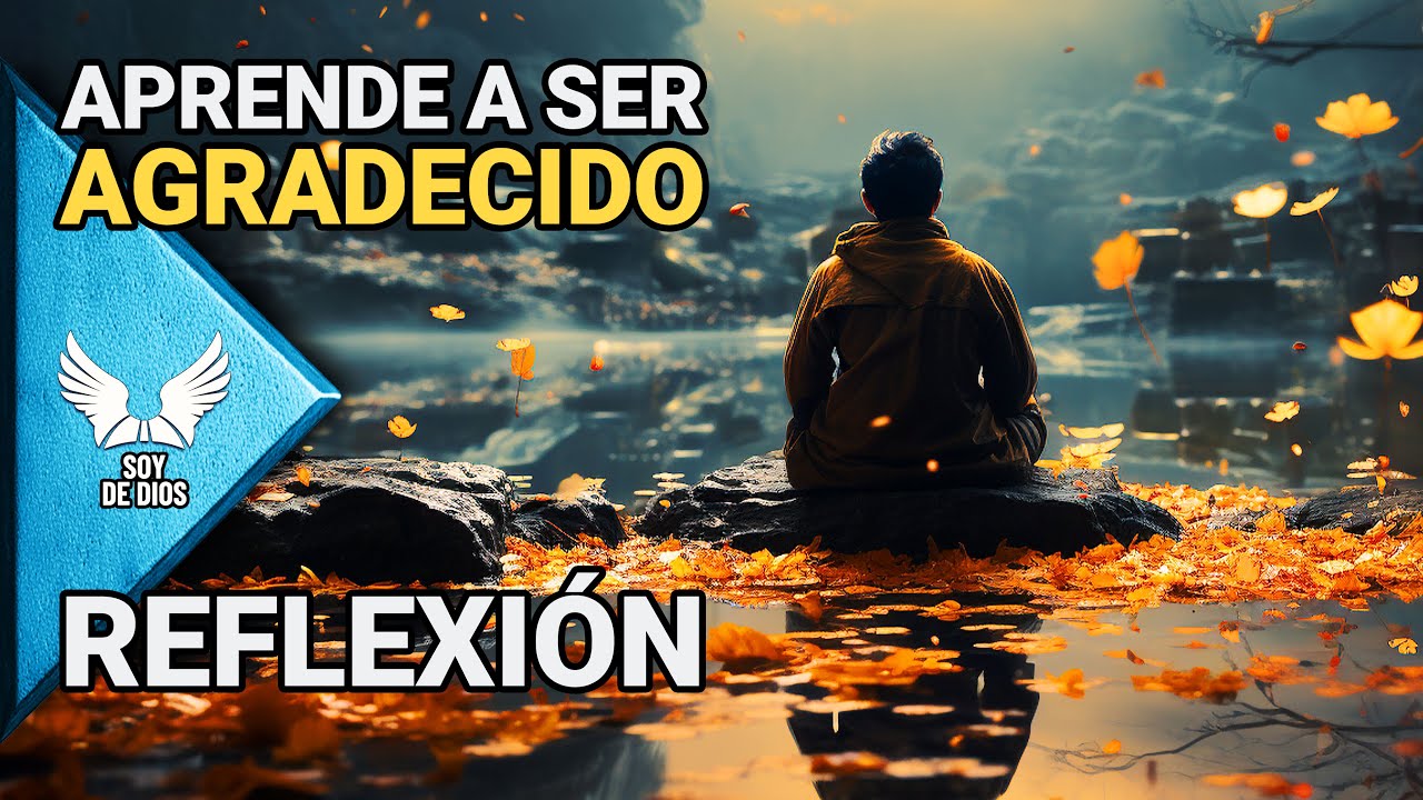 Aprende a Ser Agradecido, Lecciones de Sabiduría ¦ Reflexiones, Superación, Autoestima