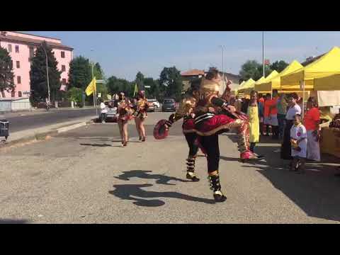 Sayr's-invita Pavia Studio Q - 13-07-19