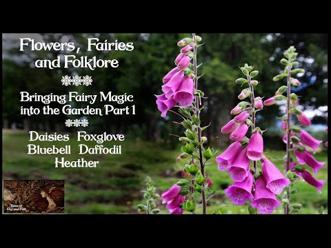 The Folklore of Flowers, The Flower Fairy Garden, Bluebell Daffodil Daisy Heather Foxglove