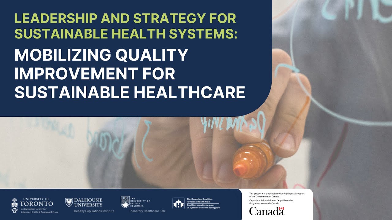 Leading change: Mobilizing Quality Improvement for Sustainable Healthcare