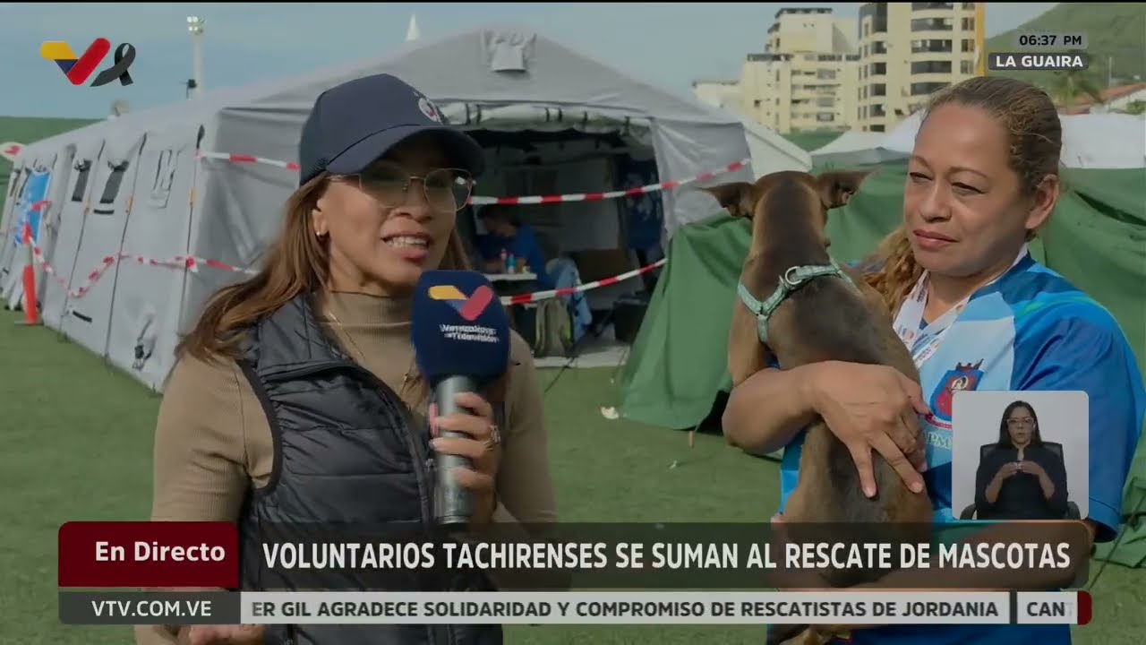600 animales rescatados en La Guaira mantiene la Misión Nevado: Entrevista a Maigualida Vargas