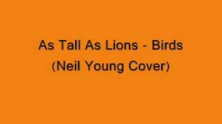 As Tall As Lions - Birds (Neil Young Cover)