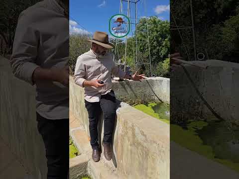 🌾 FAZENDA IMPUEIRAS & ALEXANDRIA – 300 HECTARES COM GRANDE ÁREA DE VÁRZEA NO CARIRI PARAIBANO 🌾
