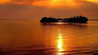 Polished Chrome   Your Shoes