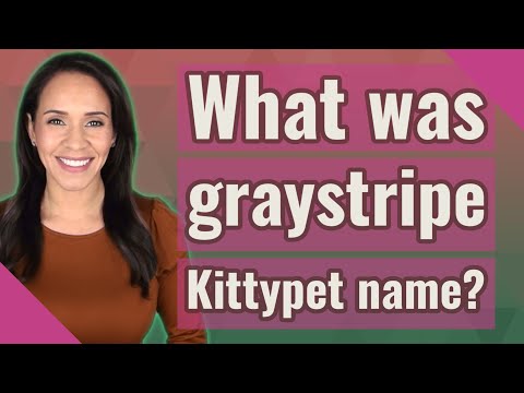 What was graystripe Kittypet name?
