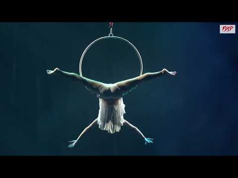 Amanda Vieira Aerial Hoop | Lira Acrobática - Dream